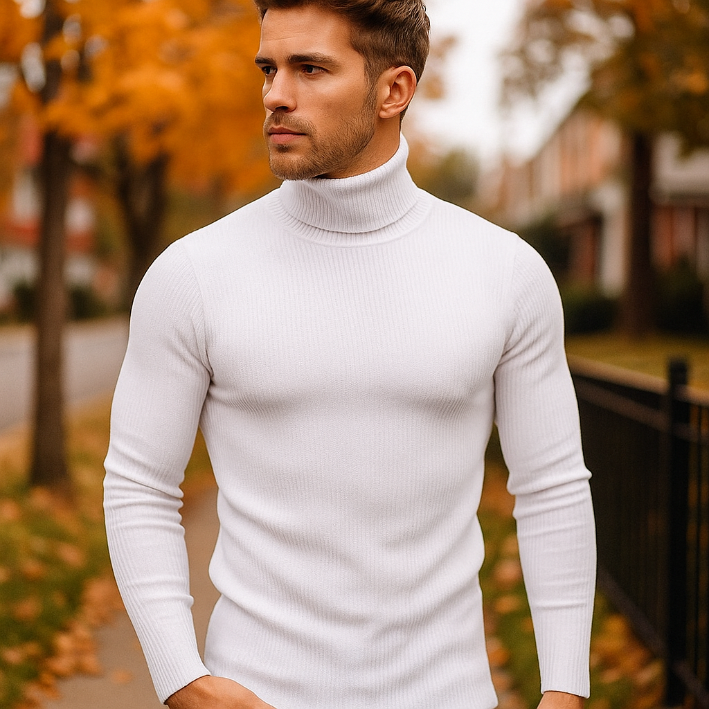 Pull laine col roulé homme – Alfard