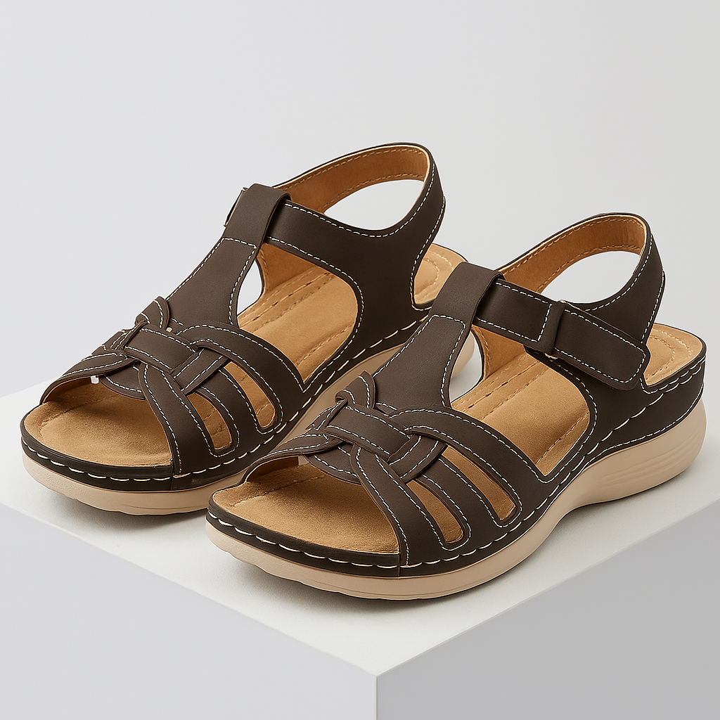 Marron foncé / 43