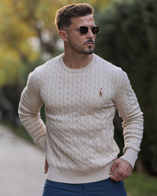 Pull coton homme - design classique - élégant - confortable - intemporel