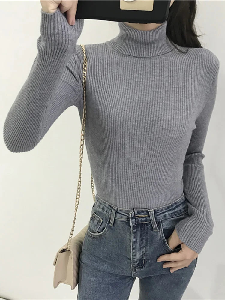 Pull femme | Col roulé, manches longues | Automne hiver