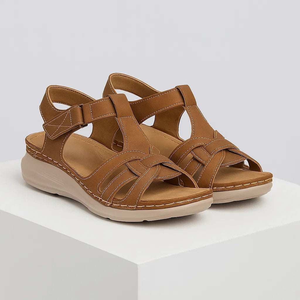 Marron / 43